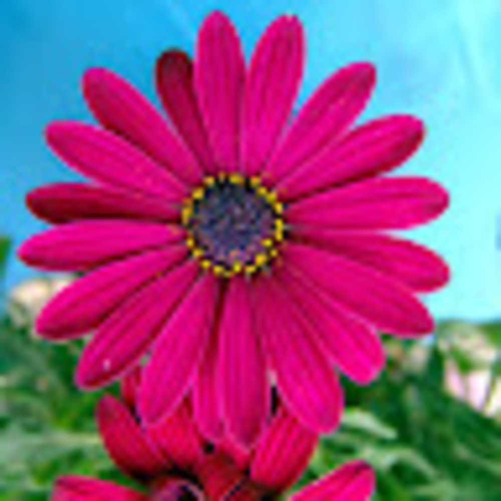 Meet your Posher, Terri